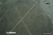 La Balena, Nasca